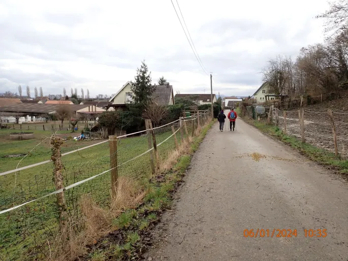 48ème Marche Populaire Hégenheim