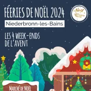 Féeries de Noël : Tours de magie au Marché de Noël