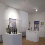 Visite flash de l\'exposition Vini viti vici, les patrimoines vignerons en Alsace