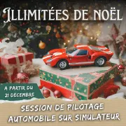 Expérience : Pilotage automobile sur simulateur 