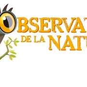 Découverte des oiseaux du Neuland