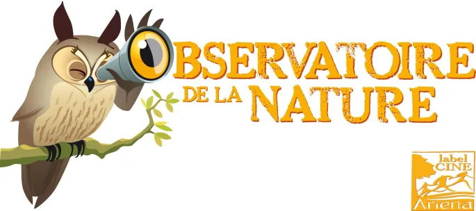 Découverte des oiseaux du Neuland