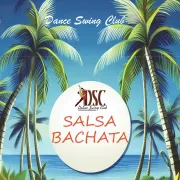 Cours de SALSA/BACHATA  Niveau Débutant  + 