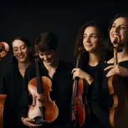 Quatuor Magenta