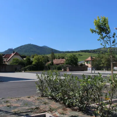 Aire de Camping-cars - Cave de Ribeauvillé