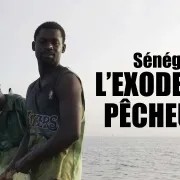 Film - Sénégal l'exode des pêcheurs - Festival du film engagé Thur/Doller