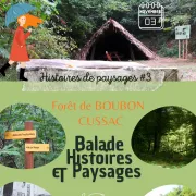 Histoires de paysages, forêt de Boubon, Cussac 