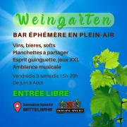 Weingarten  : bar éphémère au Domaine Specht