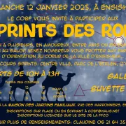 - Sprints des Rois 2025 - Course d'Orientation -