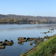 Rando bord de Seine et forêt de Roumare (10 kms)