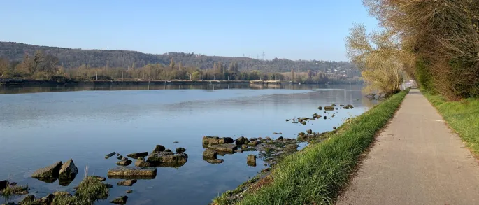 Rando bord de Seine et forêt de Roumare (10 kms)