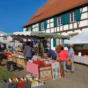 Marché de producteurs Bio-Waldo