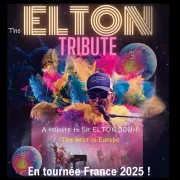 The Eltontribute - Tribute Elton John - Puget sur Argens 83