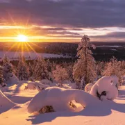 La Laponie, terre de rêve - Paysages sauvages et expériences uniques