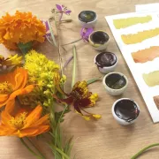 Atelier : Initiation à la fabrication de pigments & Aquarelles naturelles