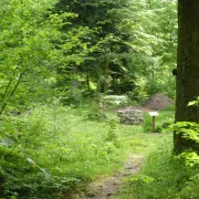 Visite-randonnée de Lautenbach au Schwarzenthann