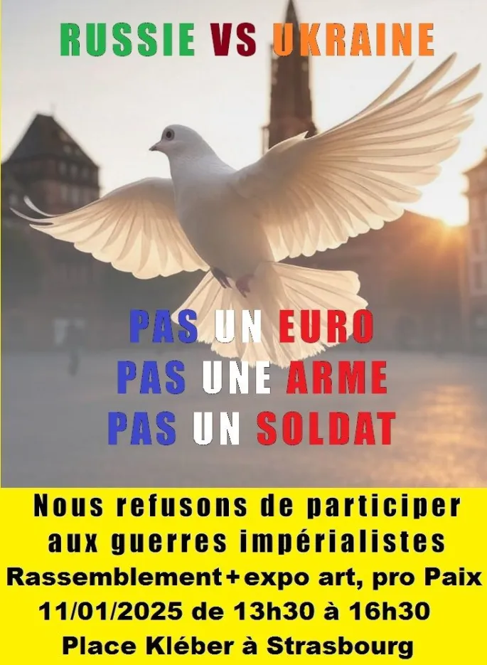 Rassemblement+expo art, pour la fin du règne du belliciste élyséen euro-fasciste