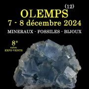 8e SALON Minéraux Fossiles Bijoux de OLEMPS (Aveyron)