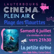 Cinema plein air - La petite sirène