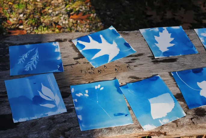 Atelier famille - découverte du cyanotype