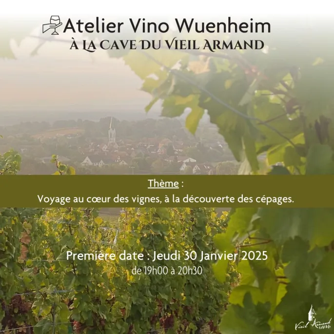 Atelier Vino Wuenheim 1