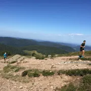 Course des crêtes vosgiennes