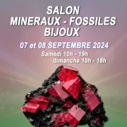 Salon minéraux, fossiles, bijoux de créateur.