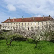 Visites guidées du Château de Moutiers Saint Jean avec le propriétaire !