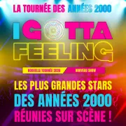 I Gotta Feeling La Tournée des Années 2000