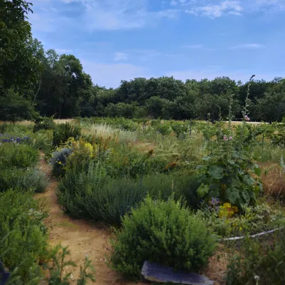 Rendez-vous nature - Découverte des plantes et de leurs vertus