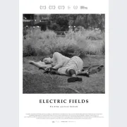 Electric Fields