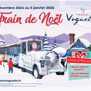 Le Train de Noël à Bordeaux - by FRANCE Voguette