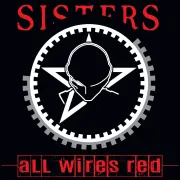 The Sisters of Mercy \