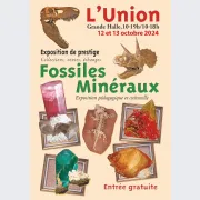 22e Salon des Minéraux et Fossiles de L\'Union