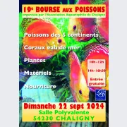 Bourse aux poissons