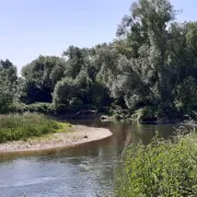 Découverte de FORT LOUIS, son histoire et sa Nature