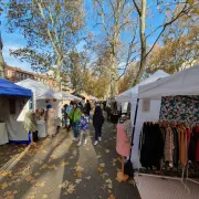 Marché de createurs.ices Rosalie