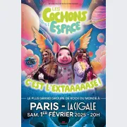 Les Cochons Dans L’espace C’est L’extaaaaase !