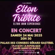 The Eltontribute - Tribute Elton John - Palais des congrès Digne les Bains