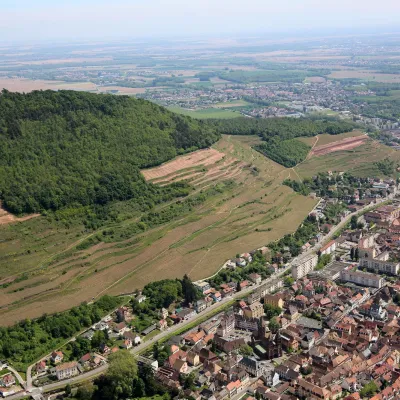 Visite théâtralisée : Épopée de la viticulture