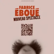 Fabrice Eboue Nouveau Spectacle