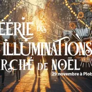 Féérie des Illuminations et Marché de Noël 