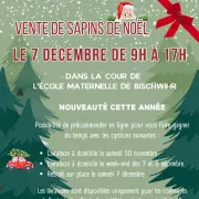 Vente de sapins de Noël 2024