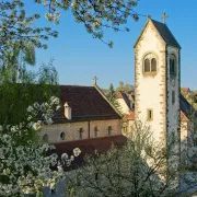 Visite commentée du joyau roman du Sundgau : l\'église Saint-Jacques de Feldbach