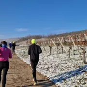 Trail du Téléthon