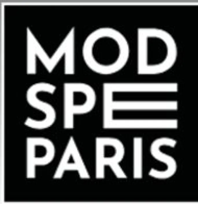 Journée d'immersion MOD'SPE Paris