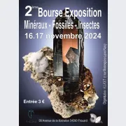 2ème bourse minéraux, fossiles et insectes