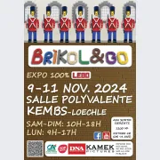 Exposition de LEGO© par Brikol&go