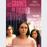 Les Graines du figuier sauvage