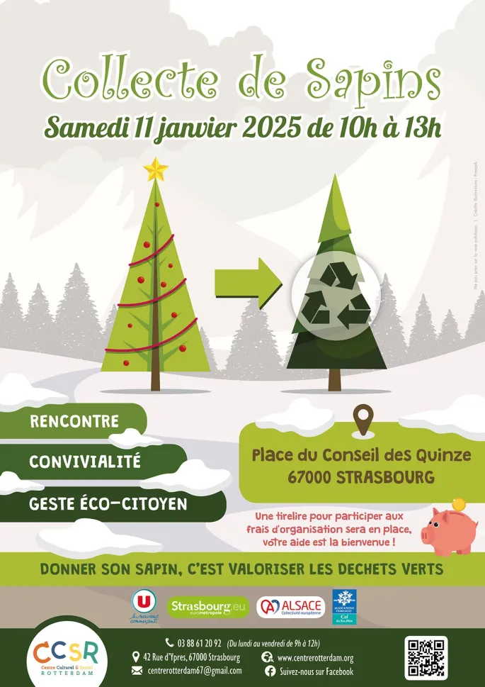 Collecte de sapins